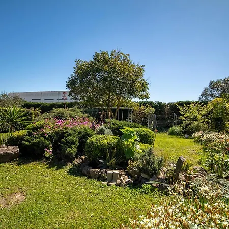 Apartament Krokos
