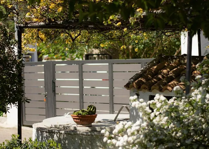 Apartament Krokos *